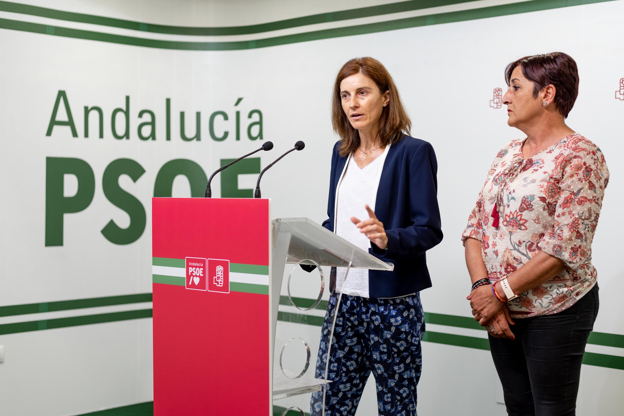 El PSOE ampliará los centros de información a la mujer y la red de centros de acogida a víctimas de violencia e incrementará la financiación del IAM