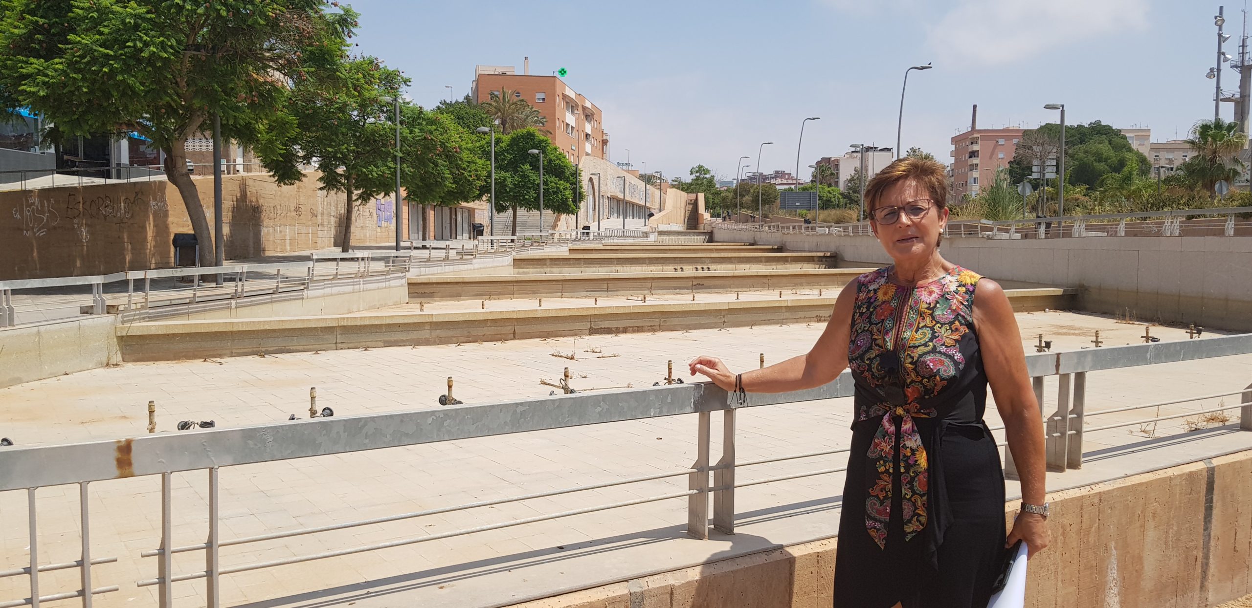 ALMERÍA.  El PSOE exige al PP en el Ayuntamiento que limpie y mantenga las zonas verdes en los accesos a la ciudad