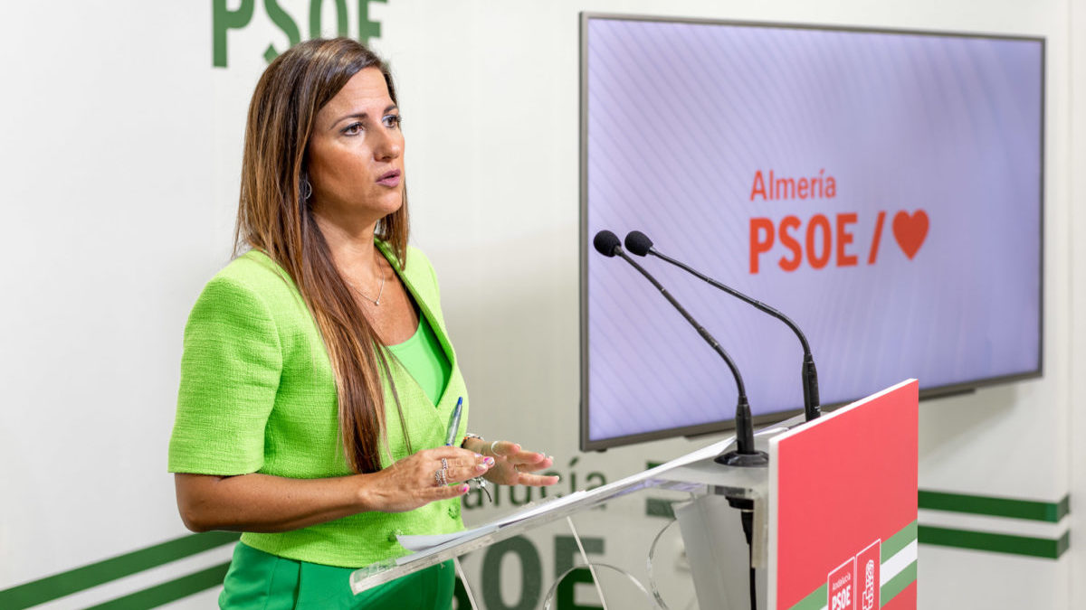 El PSOE defiende que el germen de la justicia social que promueve el Gobierno de España «comienza en la escuela»