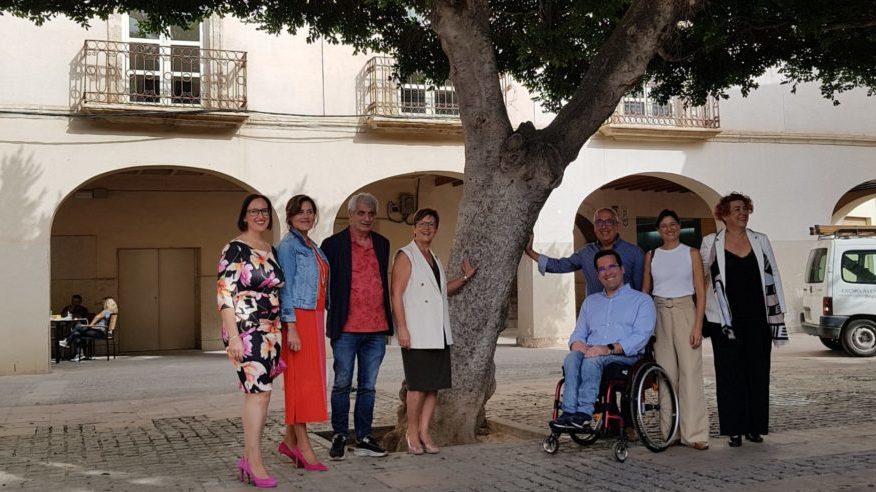 ALMERÍA. El TSJA falla a favor del PSOE en el proceso contra la supresión del arbolado en la Plaza Vieja