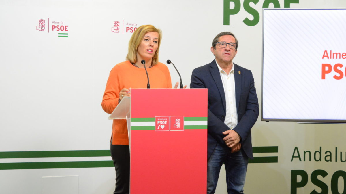 El PSOE defiende que la Ley de Servicios Sociales avanza en derechos e iguala las prestaciones en todo el territorio