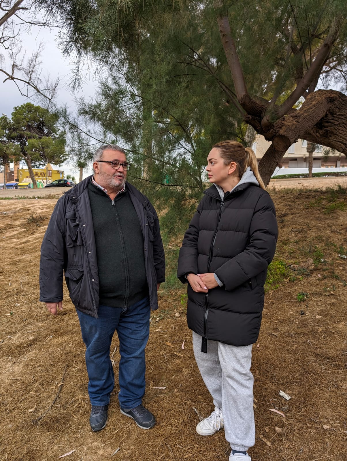 ROQUETAS. La modificación del proyecto de la Rambla de San Antonio no evita la pérdida de cerca de la mitad de los árboles