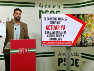 Mateo Hernández durante la rueda de prensa