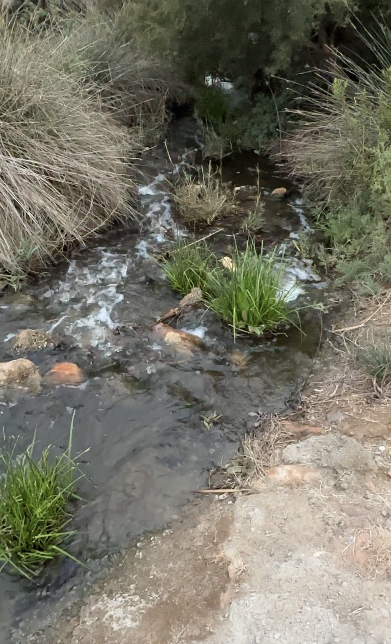 ALMERÍA. La EDAR de El Toyo desperdicia cerca de 2 h3 al año, un agua que podrían ser aprovechada por los regantes de Cuatro Vegas