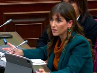 Inés Plaza en la Comisión parlamentaria