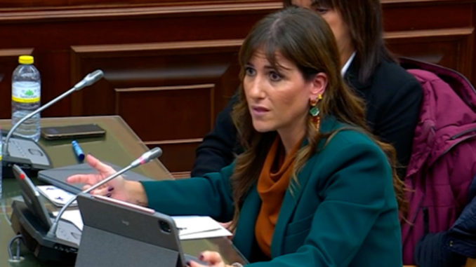 Inés Plaza en la Comisión parlamentaria